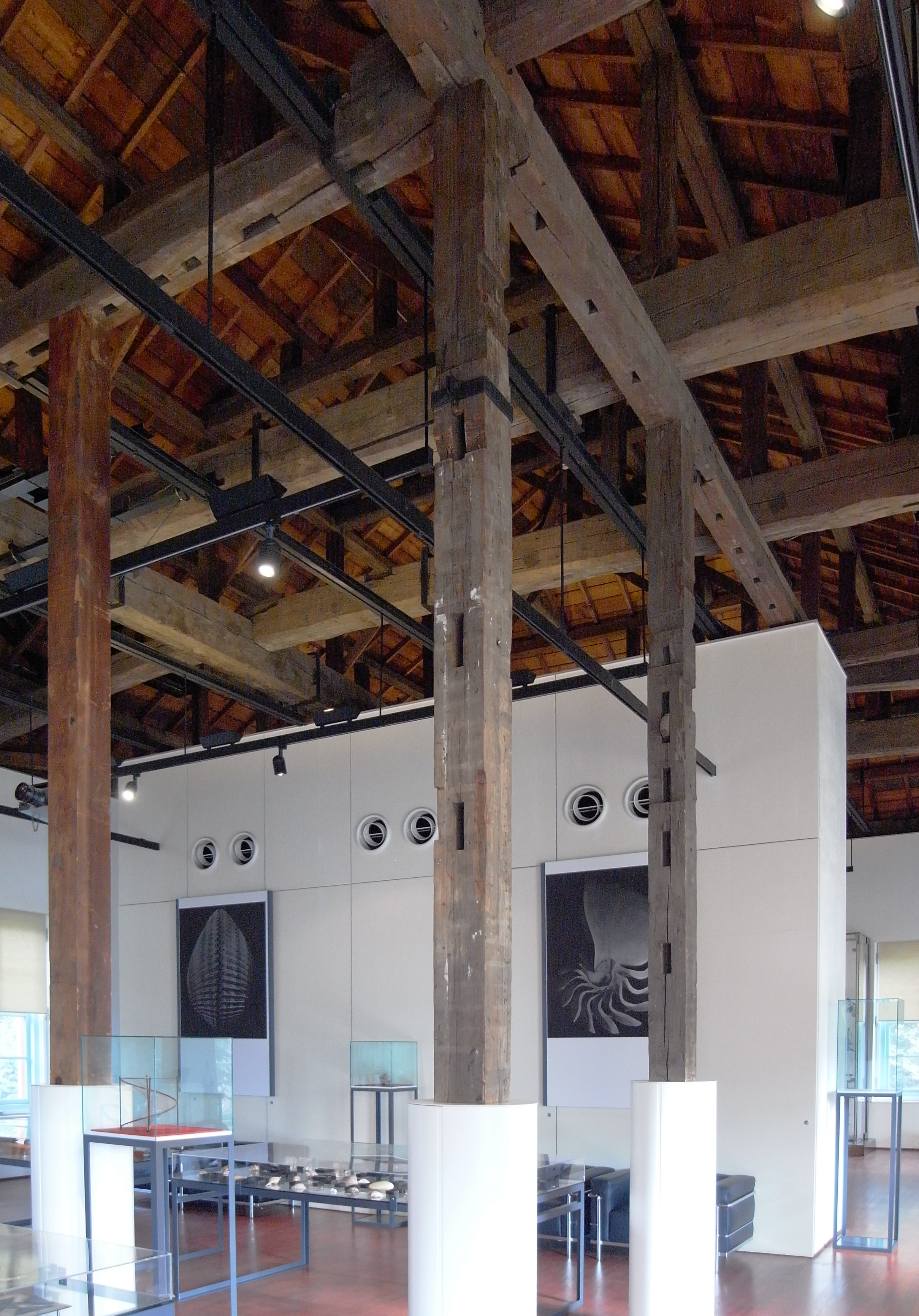 東京大学総合研究所博物舘小石川分館