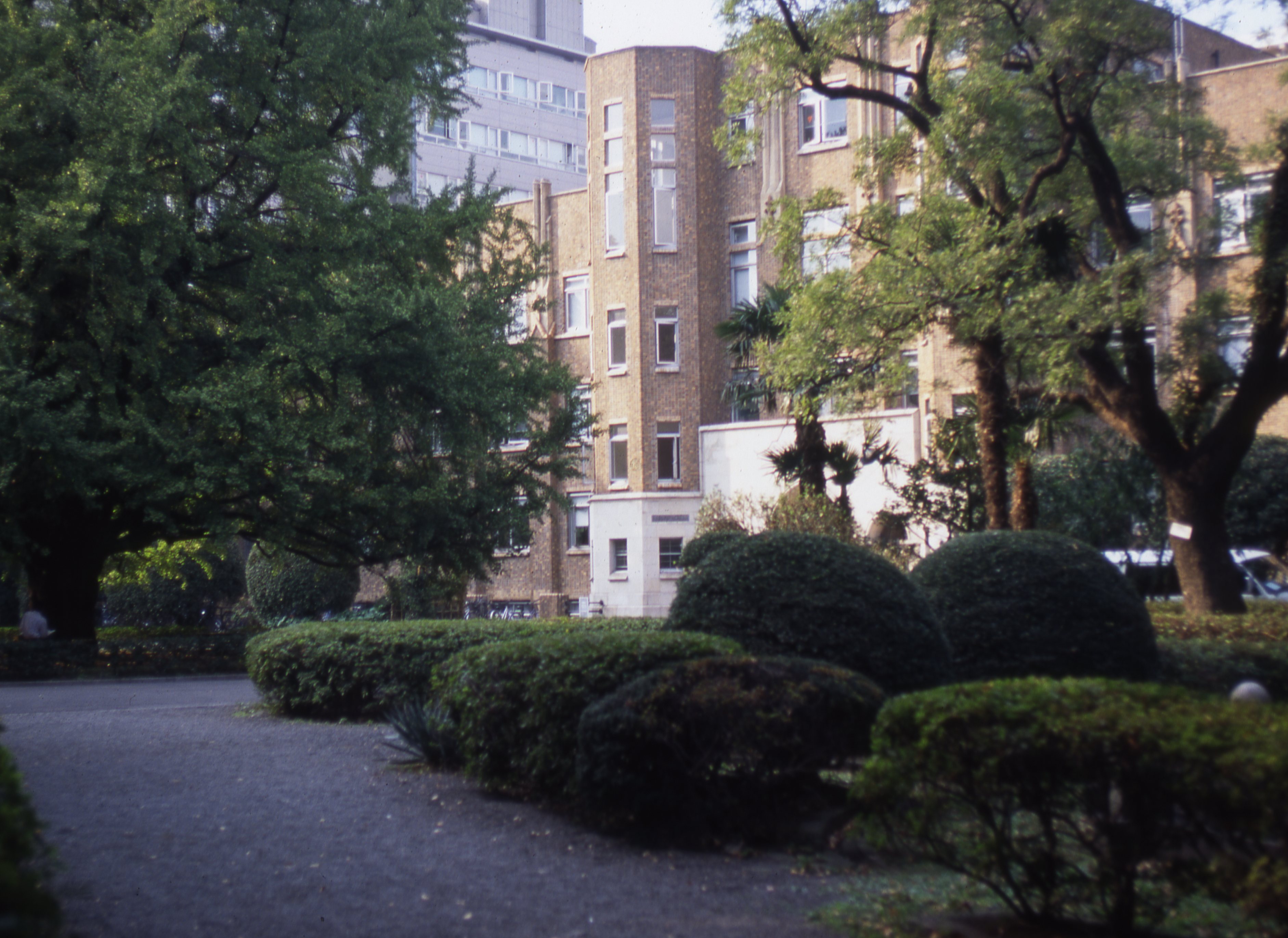 知のプロムナード