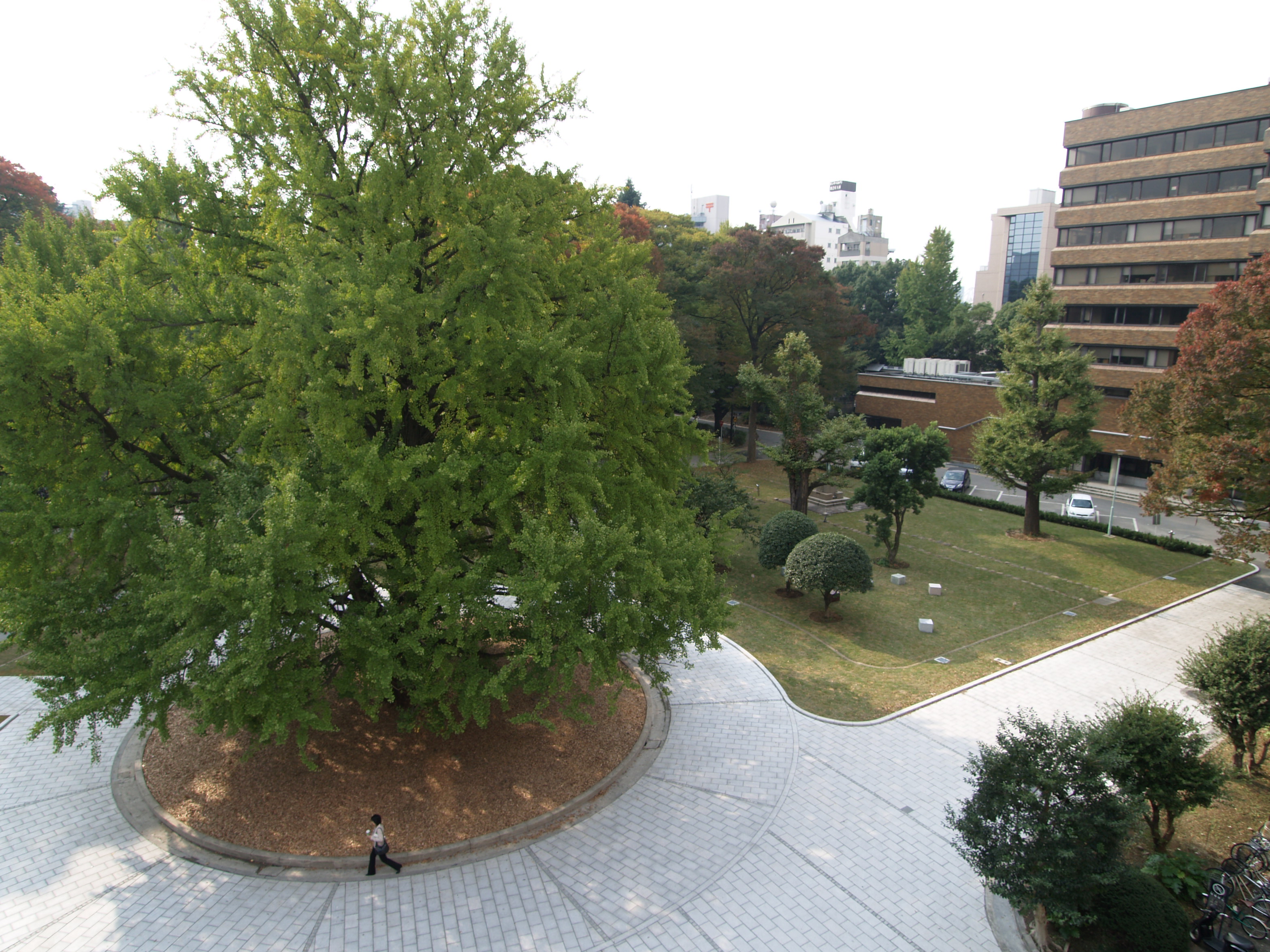 知のプロムナード